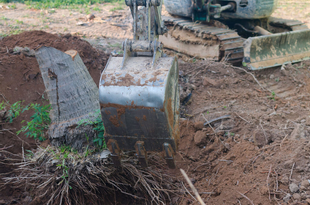 Stump Removal Services